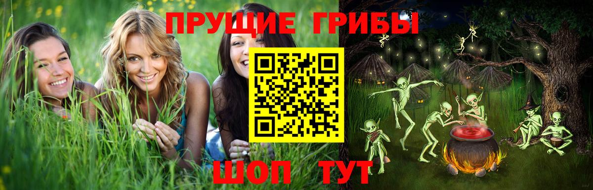 Галлюциногенные грибы GOLDEN TEACHER  Вход с VPN  Асино  Галлюциногенные грибы GOLDEN TEACHER 