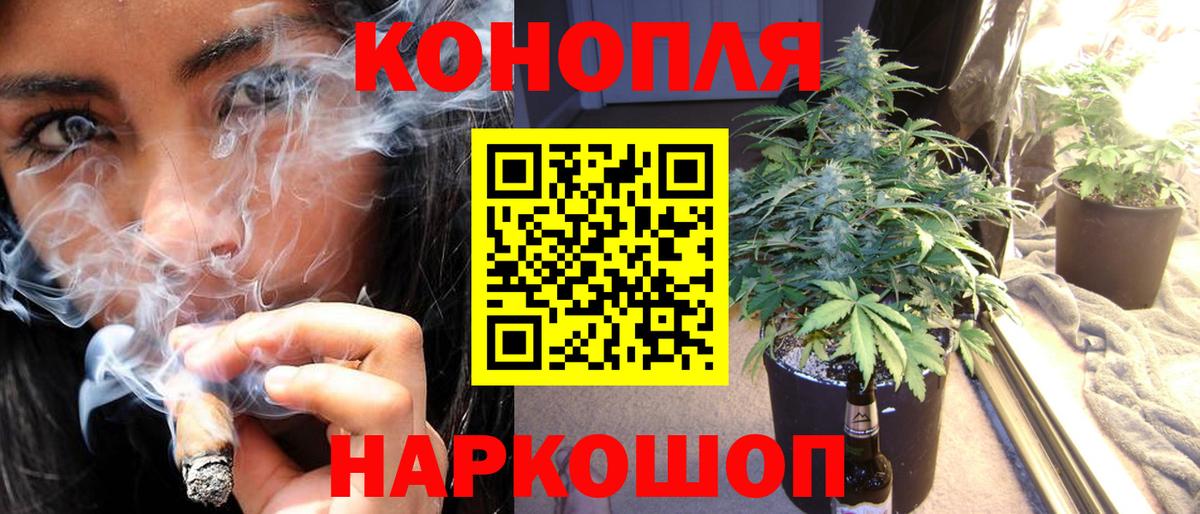 Канабис конопля  Конопля конопля  Вход с VPN  Асино  Конопля конопля 